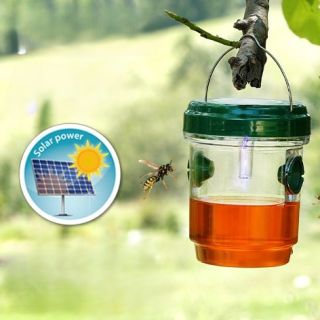 Insektsfälla