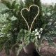 Gravljus Decorationheart